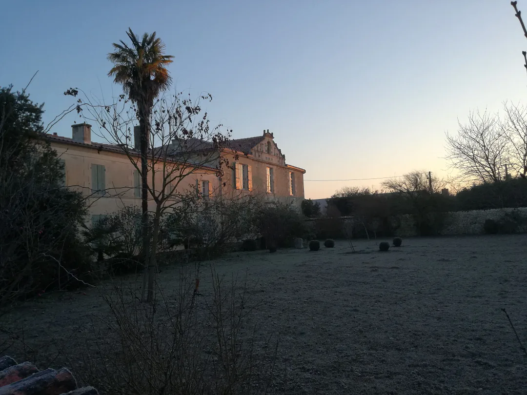 Le logis au petit matin, palmier et pelouse blanchie de givre