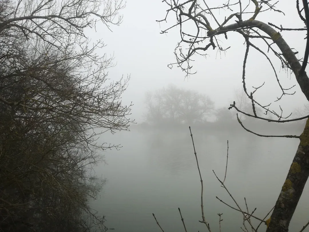 Brume sur la rivière, branches nues au premier plan
