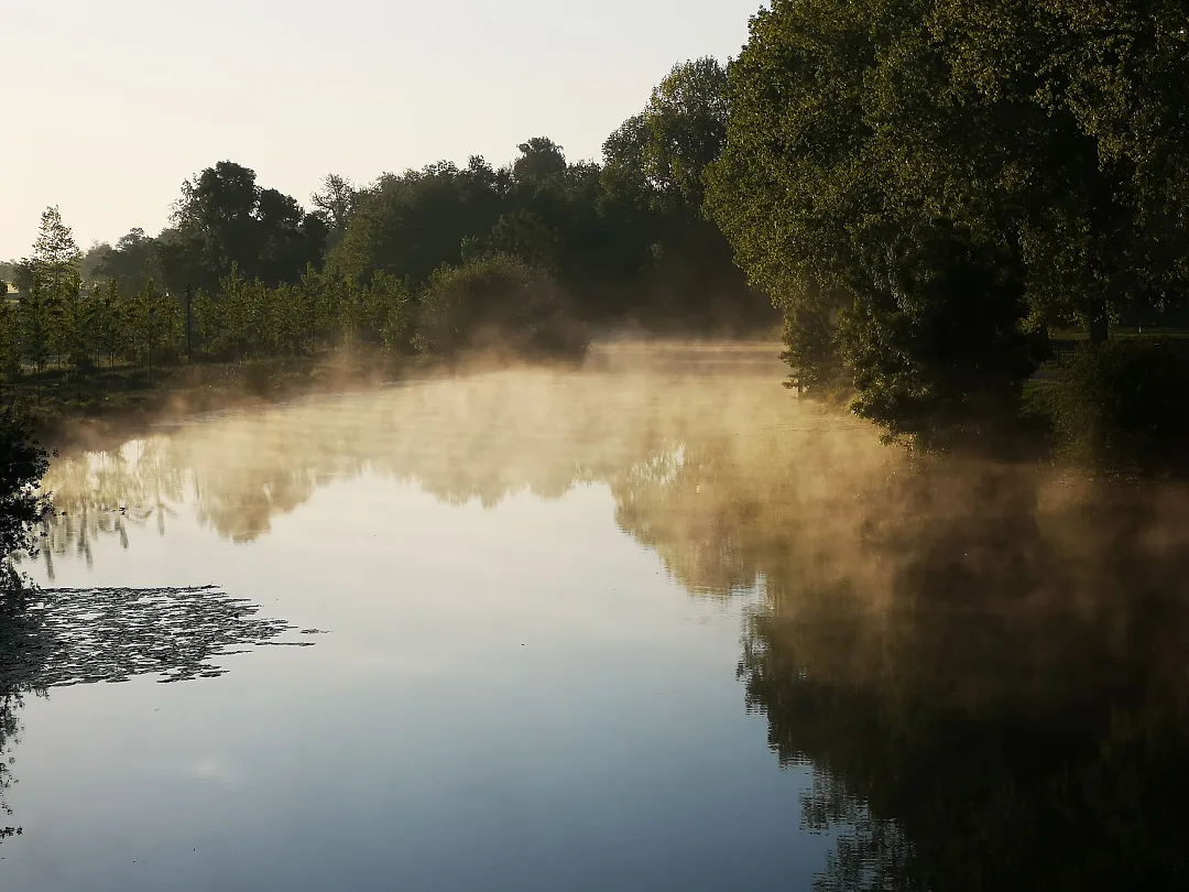 Brume matinale sur la rivière, arbres à contre-jour