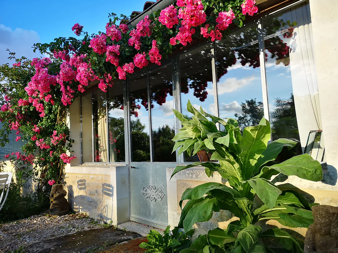 La pergola en fleurs, table et chaises à l'ombre