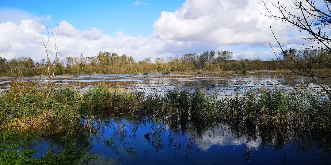 La crue au-dessus des prés, sous un ciel de traîne