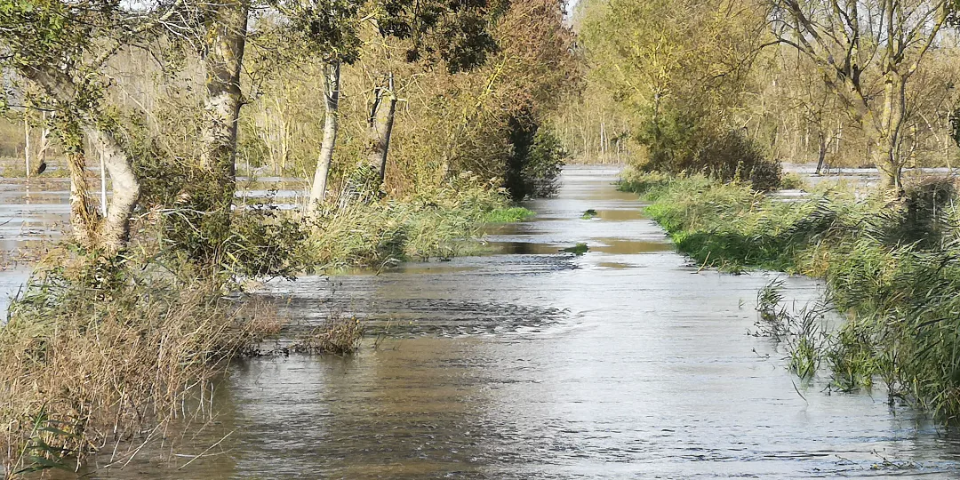 Chemin submergé par la crue