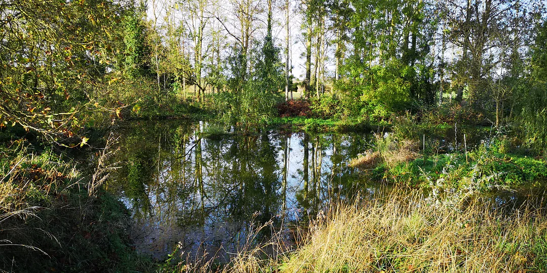 Bras d'eau bordé de verdure au printemps