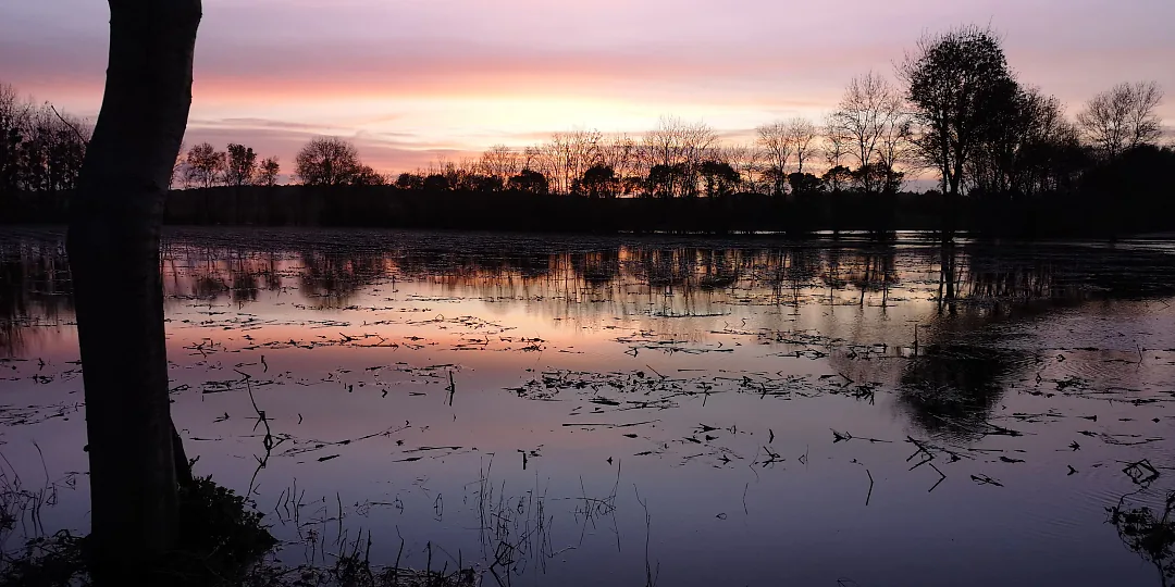 Crépuscule rose sur les prés inondés