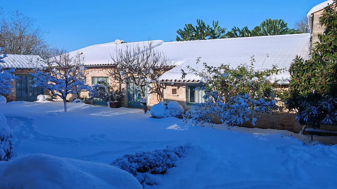Les dépendances sous la neige