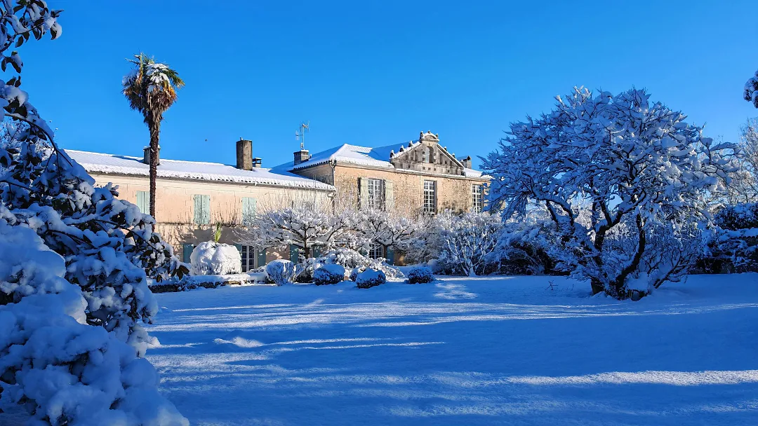 Le logis sous la neige, le palmier chargé