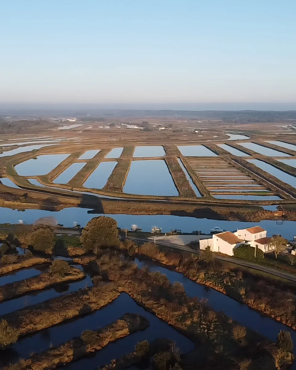 Vue aérienne des marais et des claires ostréicoles au lever du jour