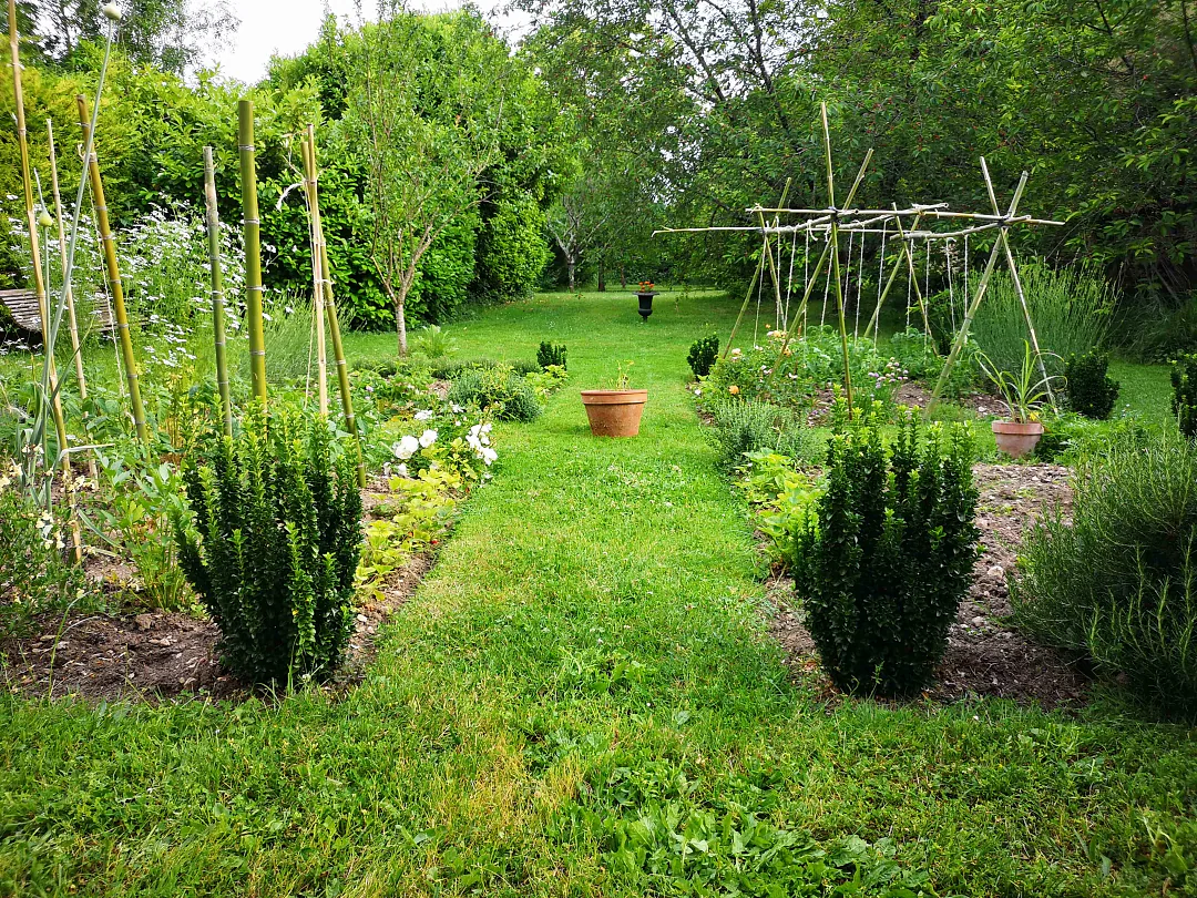 Le potager du domaine au printemps, rangs de buis taillés et tuteurs de bois